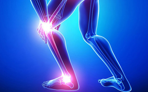 Giúp làm trơn các khớp xươn