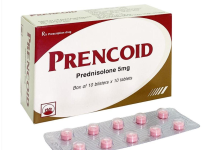 Thuốc Prencoid là thuốc gì, công dụng gì?